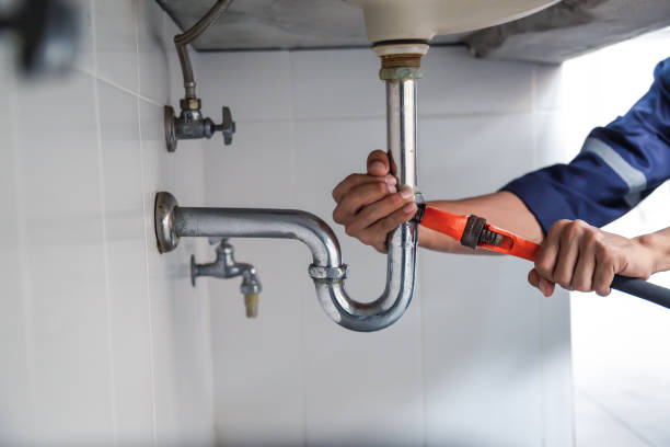 Best Plumbing Inspection Services  in Park City, TN